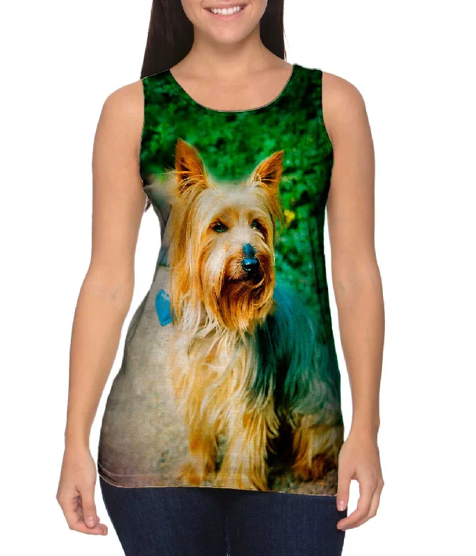 Yorkshire Terrier